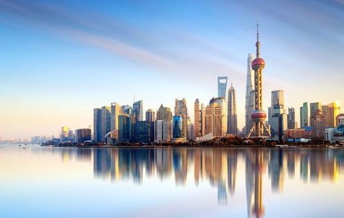 除了 双减 ,上海教育未来五年还有哪些看点