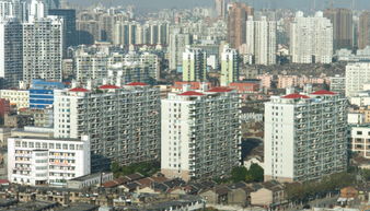 不搞 大开挖 大治理 ,上海探索出特大型城市土壤污染治理 桃浦样板