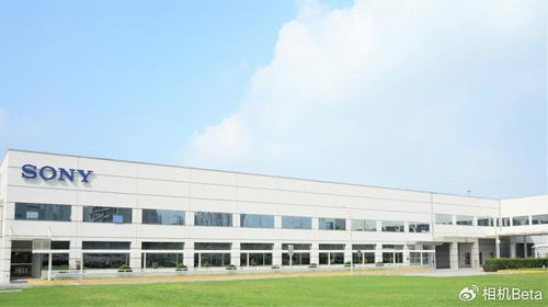 索尼微单15周年纪念 深耕中国市场，与创作者携手共进